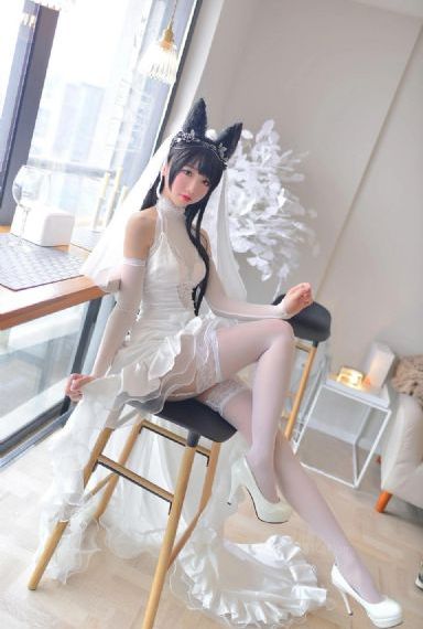 唐老鸭与米老鼠动画片全集