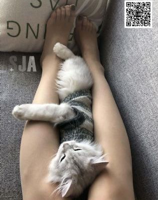 憨豆先生第一季