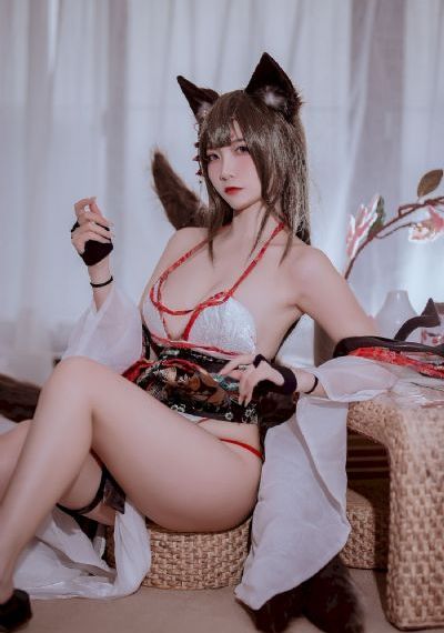 大当家电视剧全集免费观看