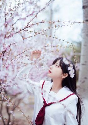 蜗居在线观看免费观看